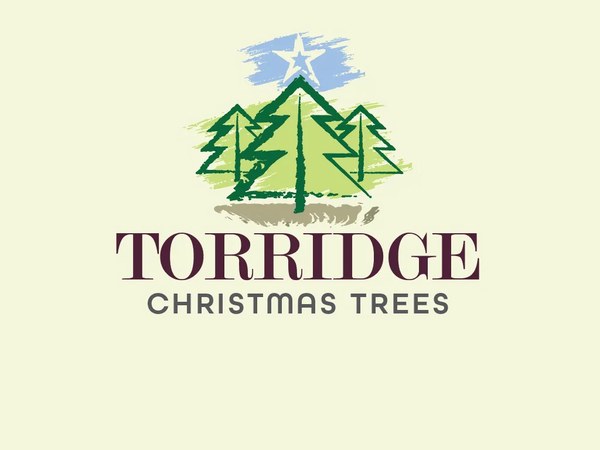Torridge Christmas Trees