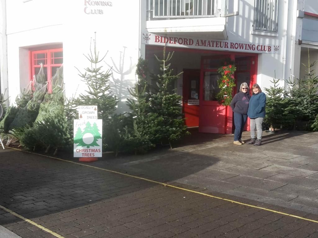 A Torridge Trees Christmas tree stall